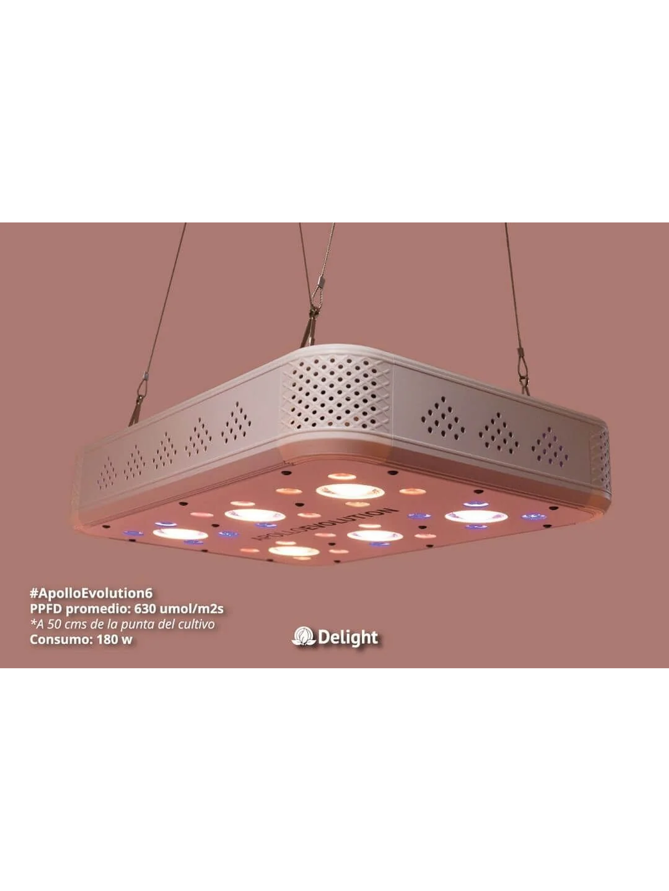 Apollo Evolution 6 180W-Delight 2