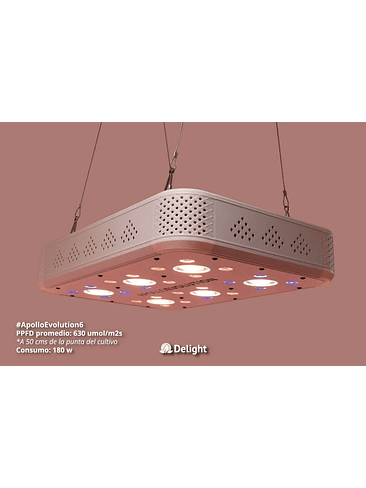APOLLO EVOLUTION 6 180W-DELIGHT 2