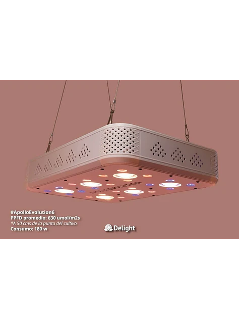 Apollo Evolution 6 180W-Delight 2