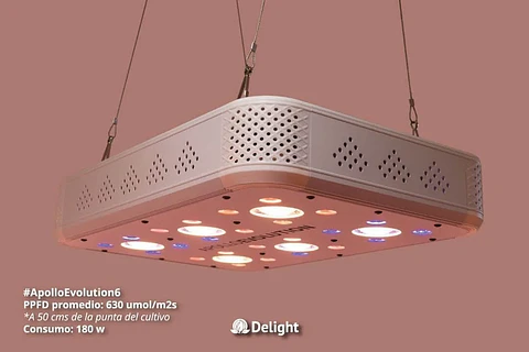Apollo Evolution 6 180W-Delight