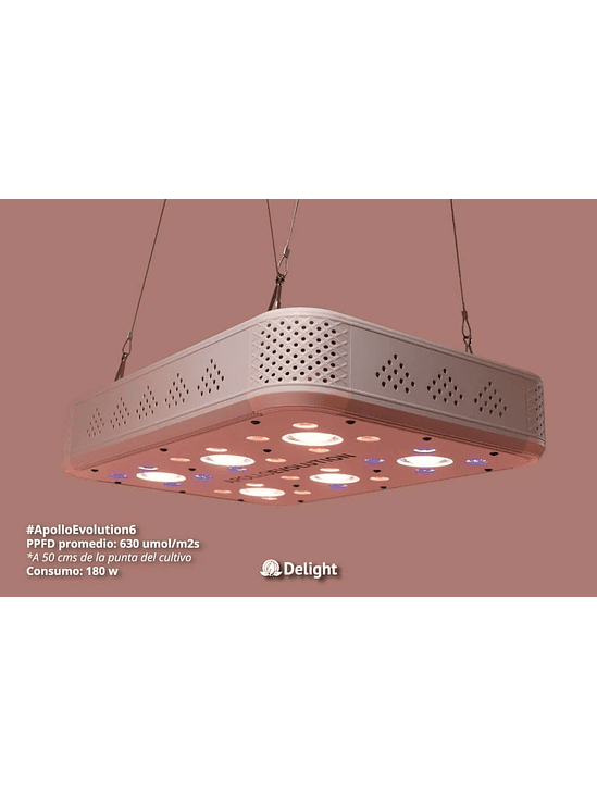 APOLLO EVOLUTION 6 180W-DELIGHT 2