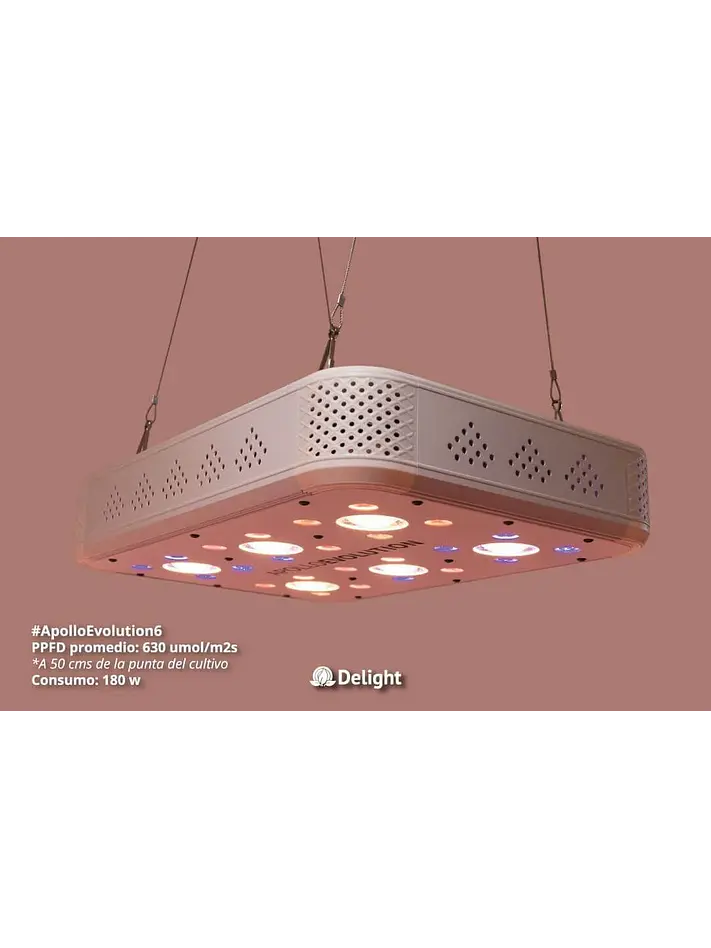 Apollo Evolution 6 180W-Delight 2