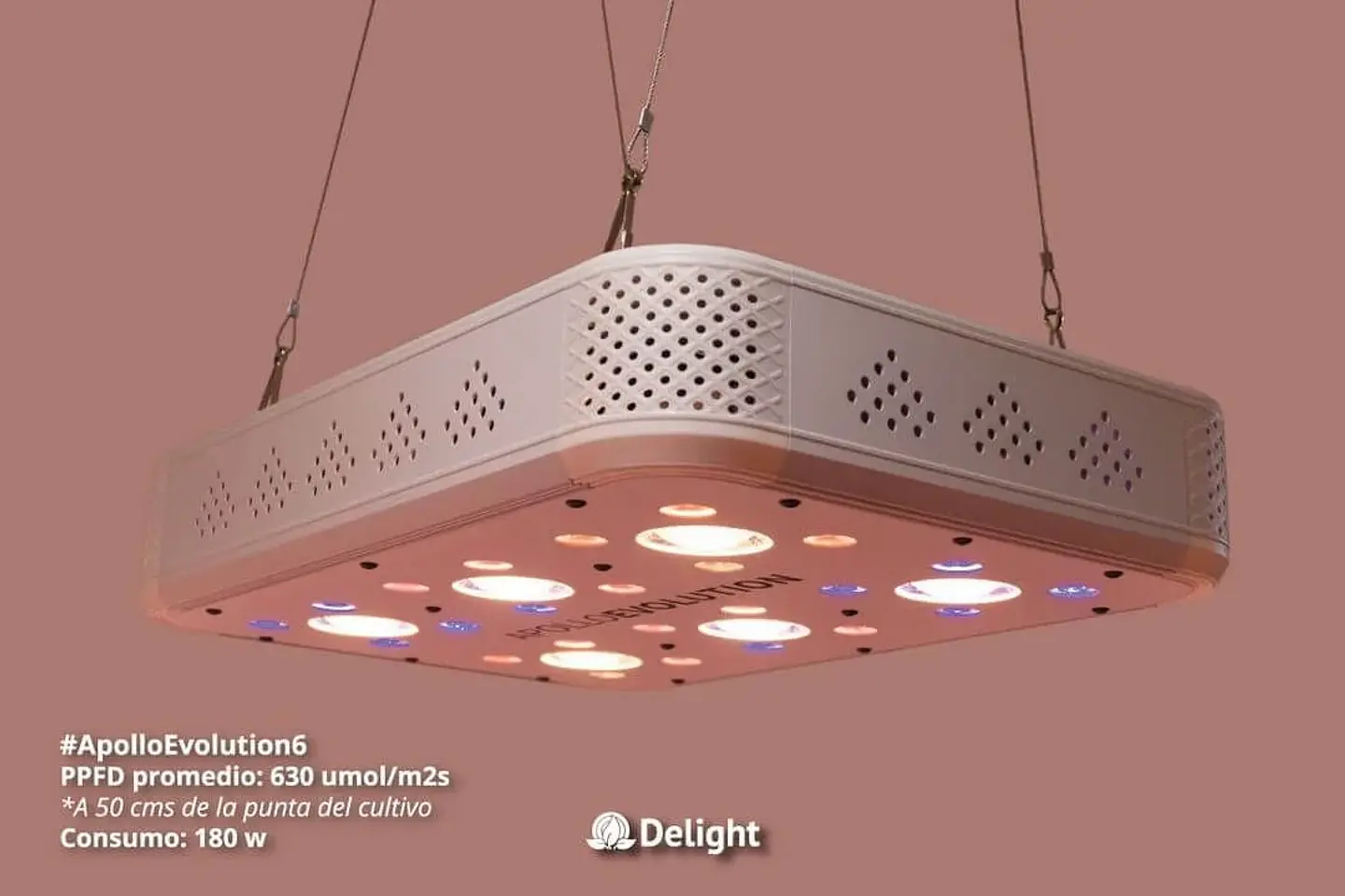 Apollo Evolution 6 180W-Delight 2