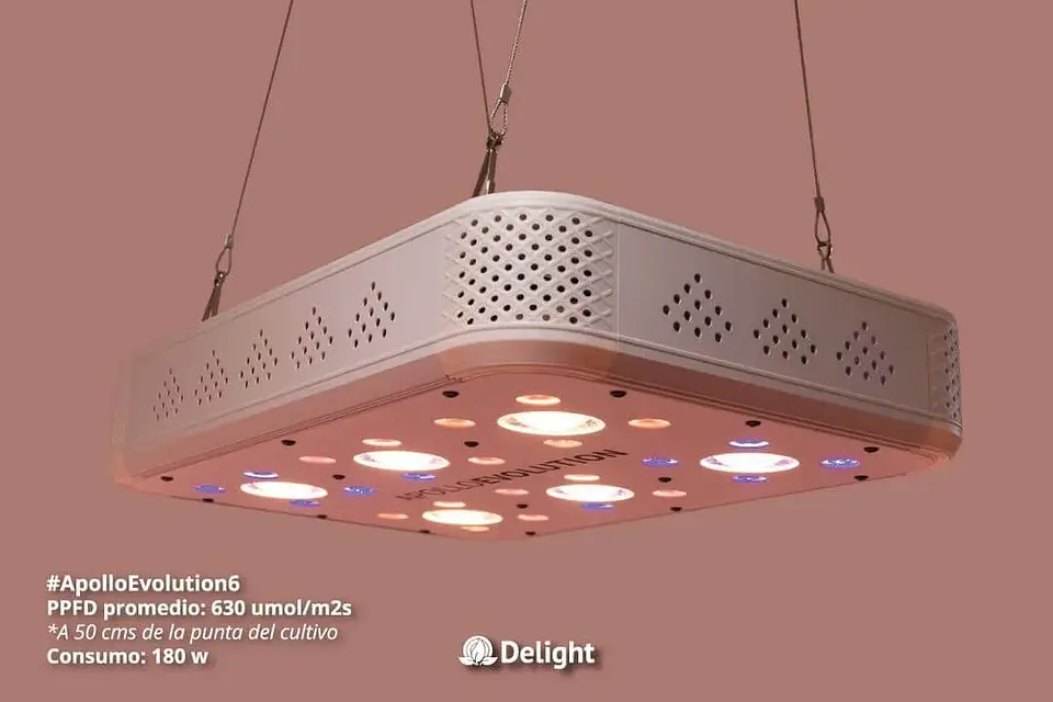 Apollo Evolution 6 180W-Delight 2