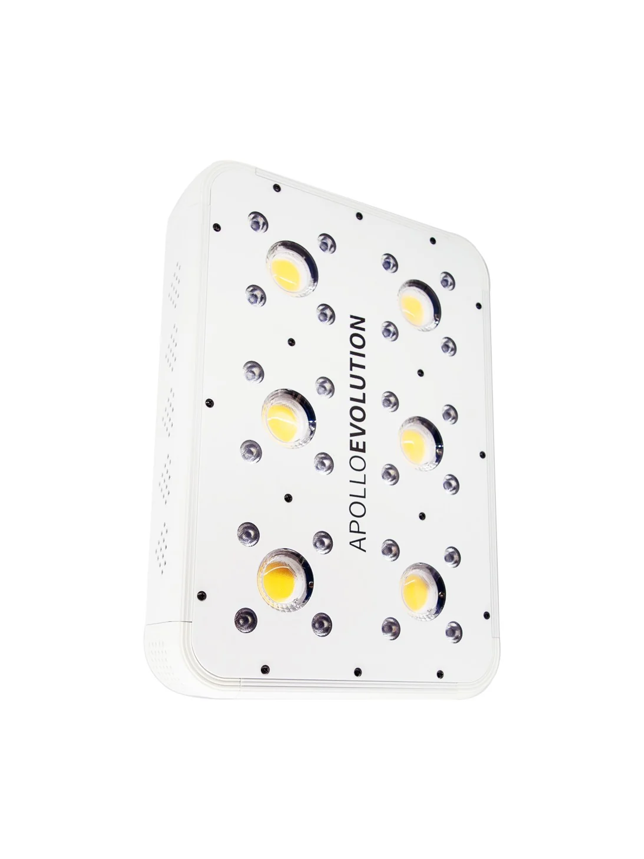 Apollo Evolution 6 180W-Delight 1
