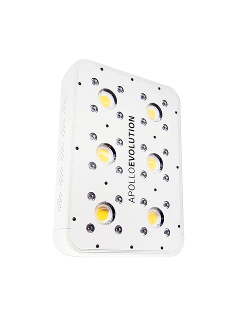 Apollo Evolution 6 180W-Delight 1