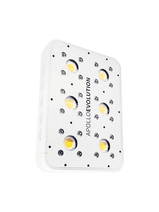 APOLLO EVOLUTION 6 180W-DELIGHT 1