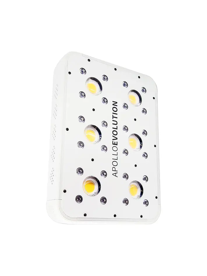 Apollo Evolution 6 180W-Delight 1