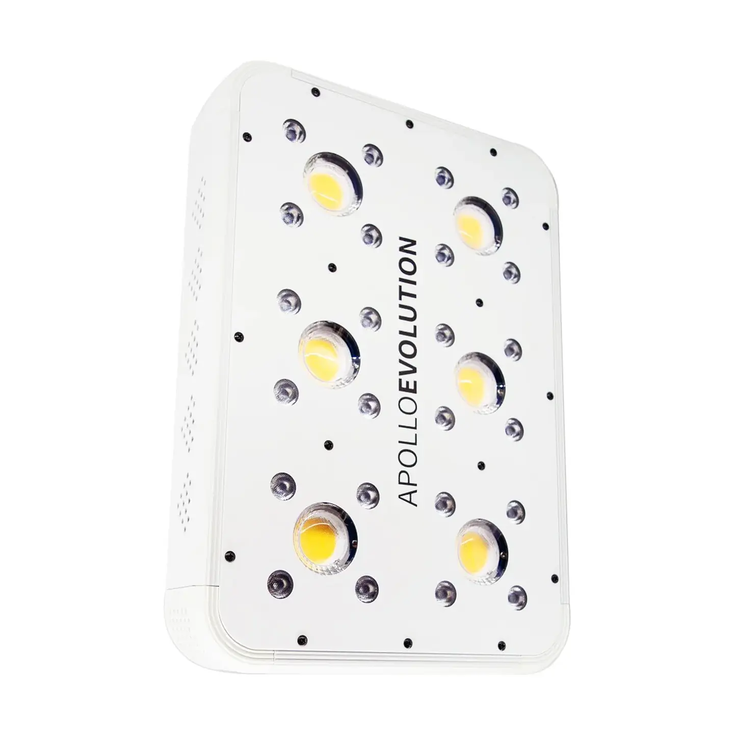Apollo Evolution 6 180W-Delight 1