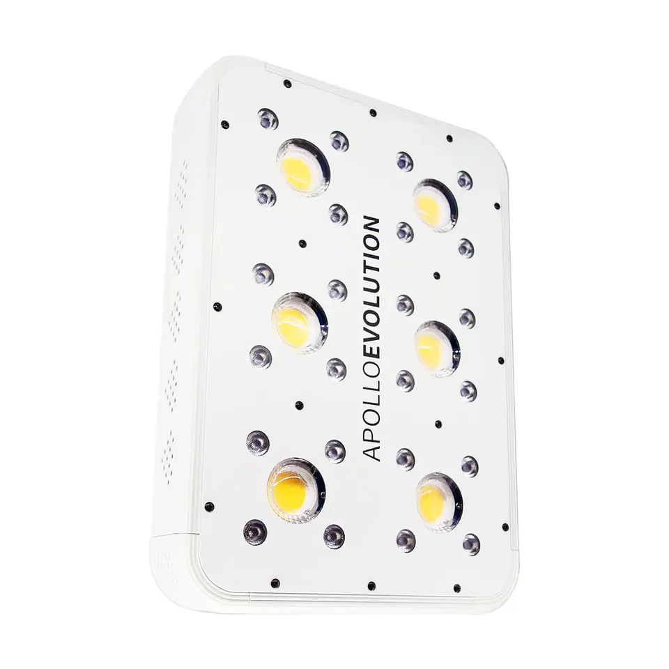 Apollo Evolution 6 180W-Delight 1