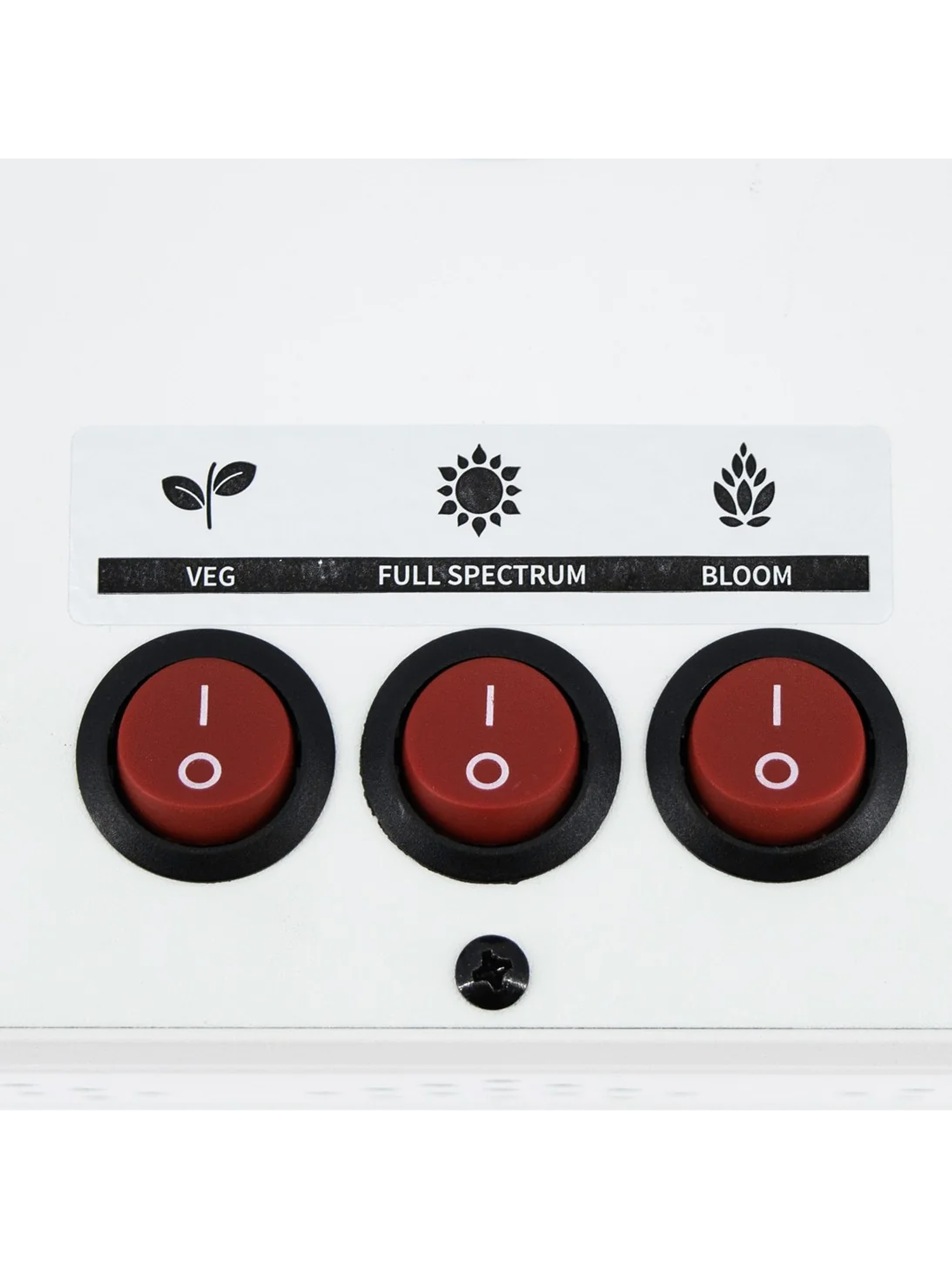 Apollo Evolution 6 180W-Delight 3