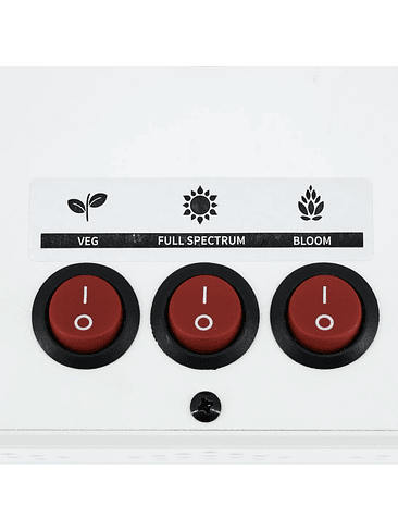 APOLLO EVOLUTION 6 180W-DELIGHT 3