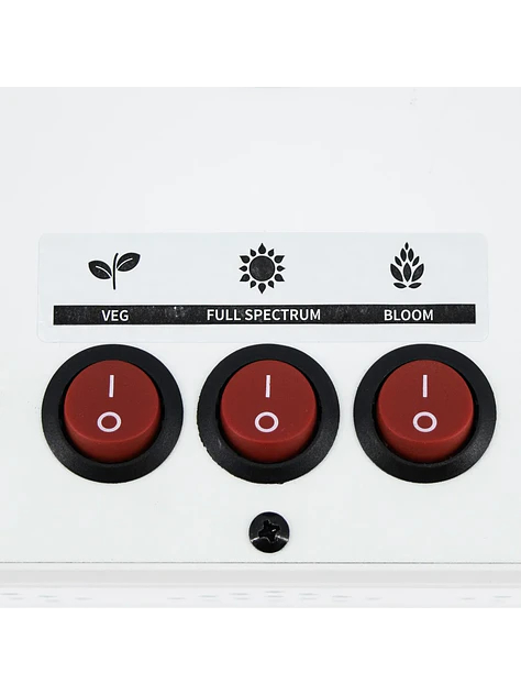 Apollo Evolution 6 180W-Delight 3