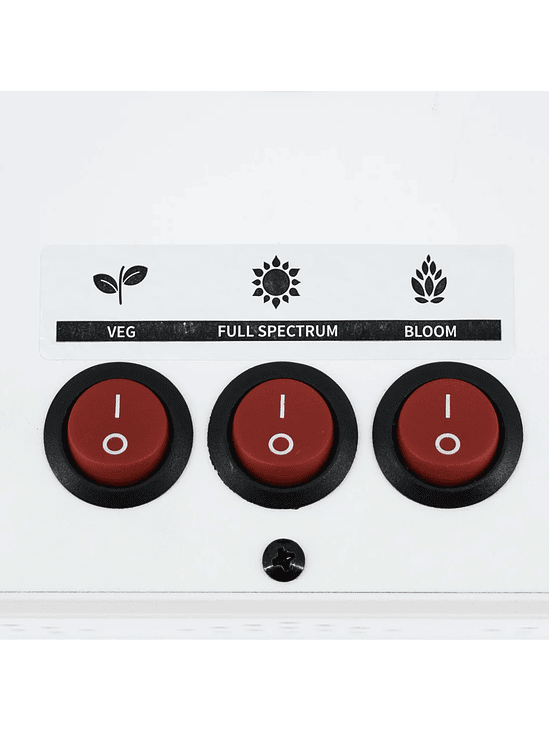 APOLLO EVOLUTION 6 180W-DELIGHT 3