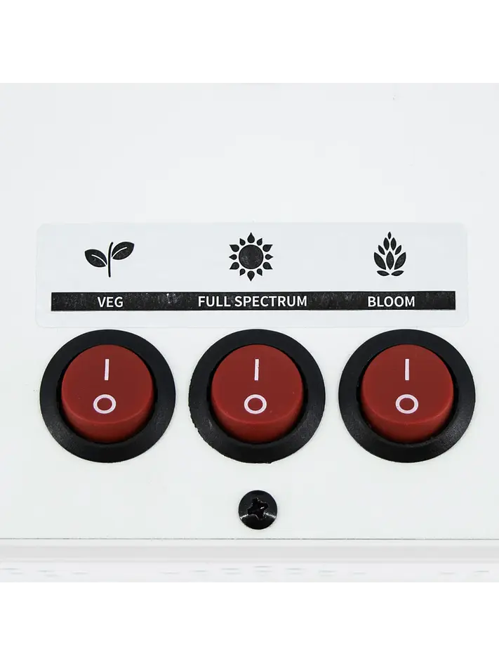 Apollo Evolution 6 180W-Delight 3