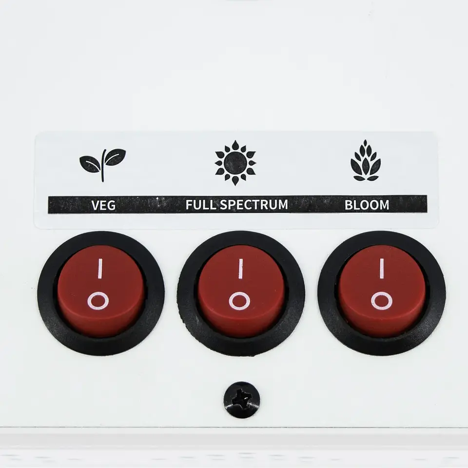 Apollo Evolution 6 180W-Delight 3