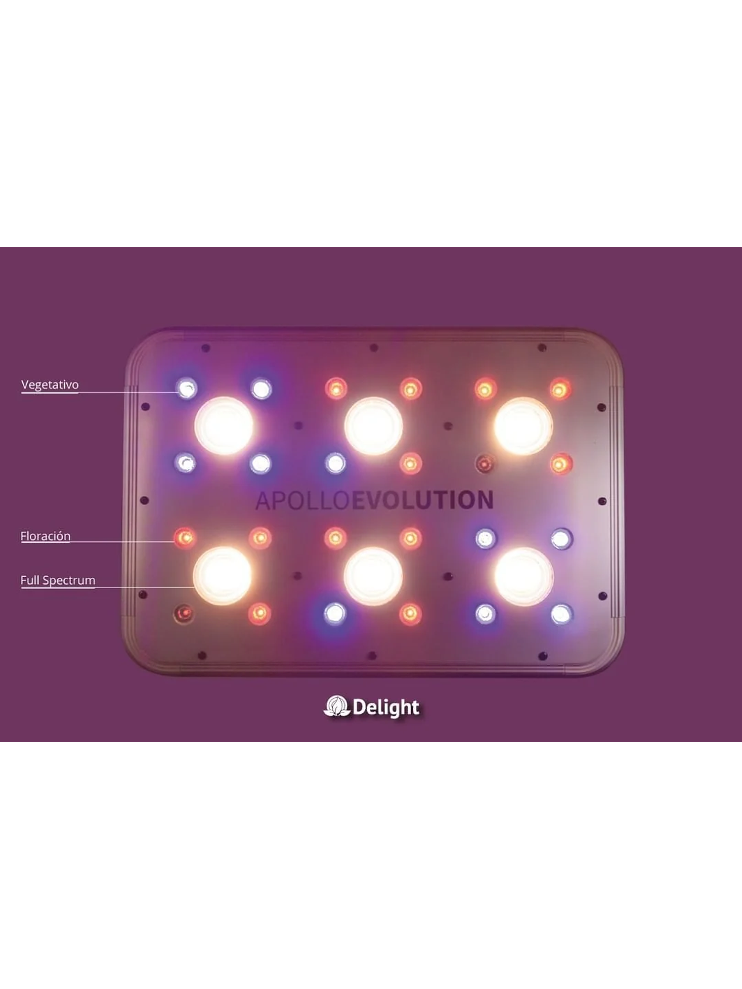 Apollo Evolution 6 180W-Delight 4