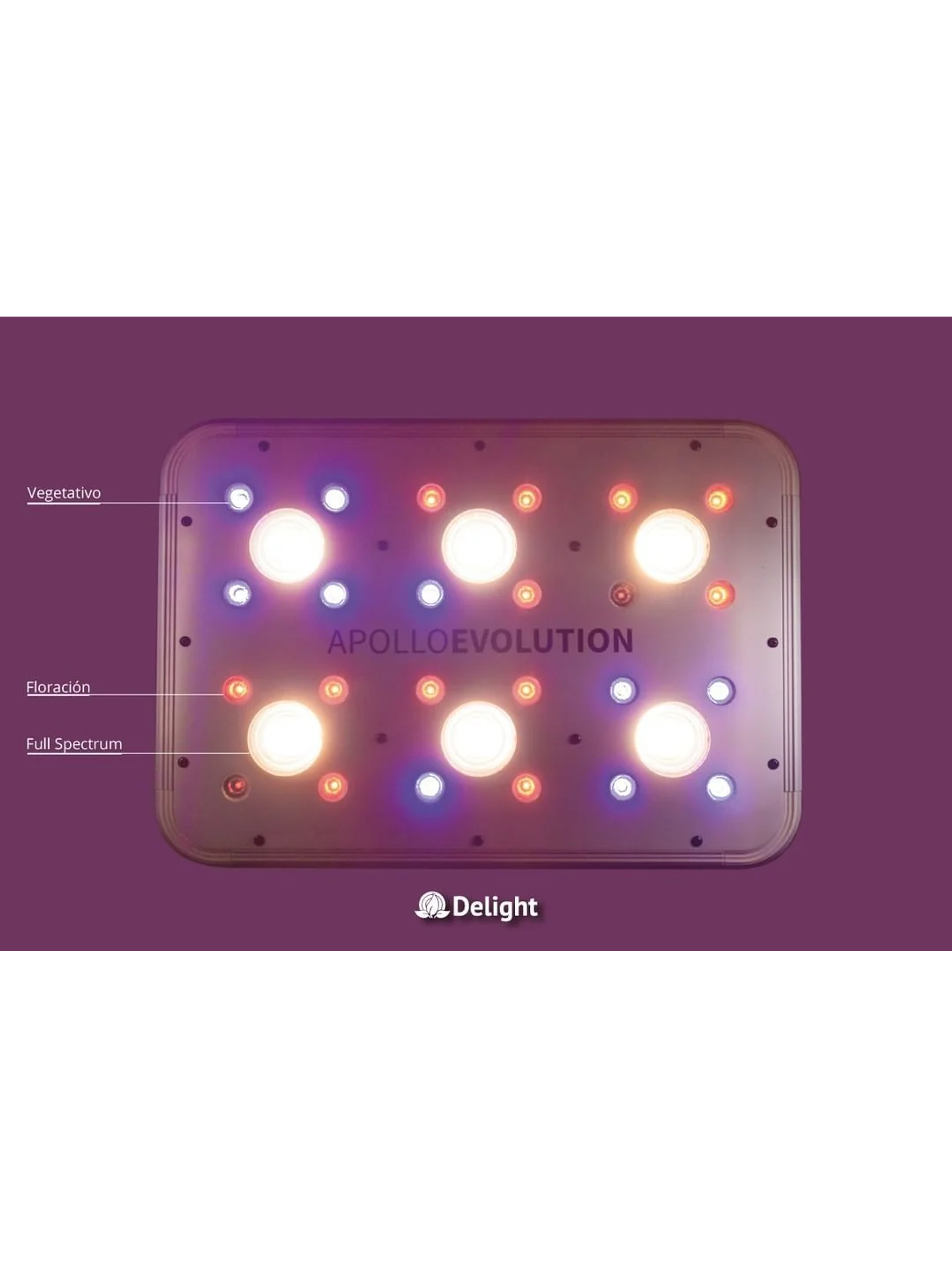 Apollo Evolution 6 180W-Delight 4