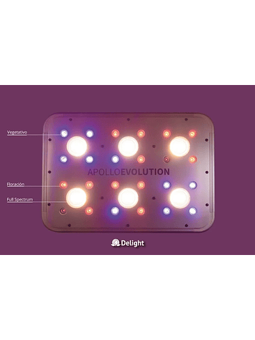 APOLLO EVOLUTION 6 180W-DELIGHT 4