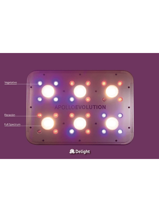APOLLO EVOLUTION 6 180W-DELIGHT 4