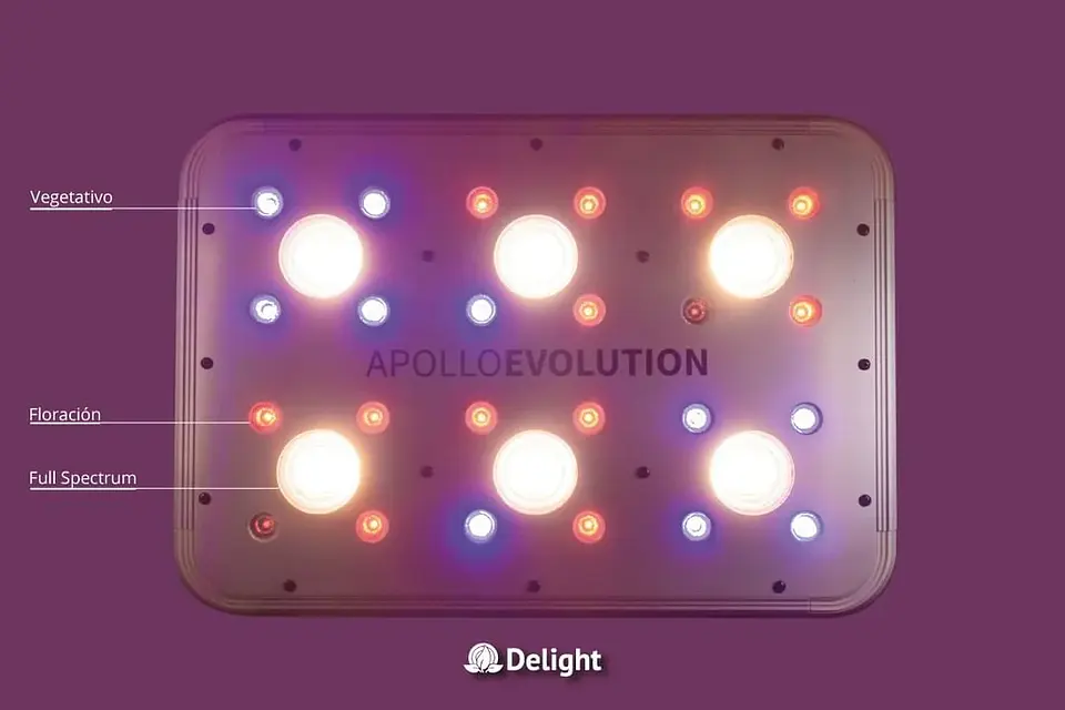 Apollo Evolution 6 180W-Delight 4