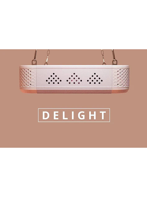 Apollo Evolution 6 180W-Delight 5