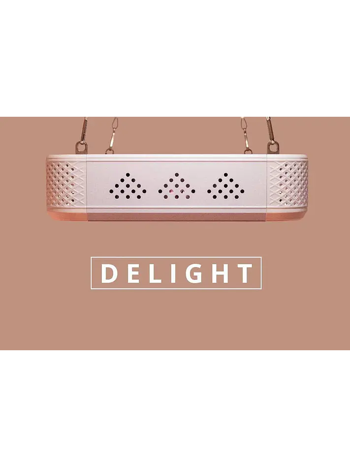 Apollo Evolution 6 180W-Delight 5