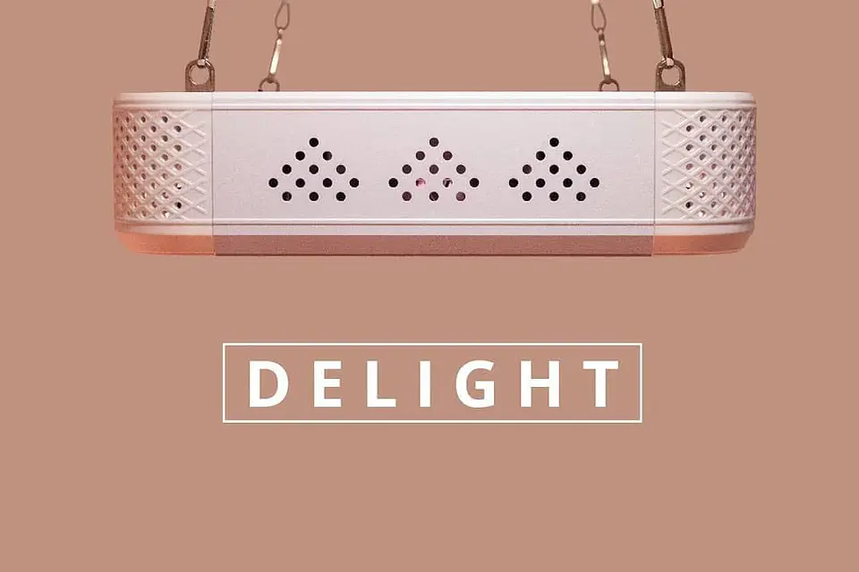 Apollo Evolution 6 180W-Delight 5