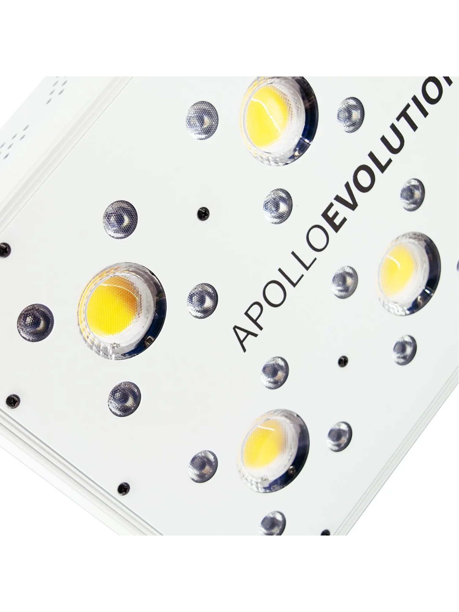 Apollo Evolution 6 180W-Delight 6