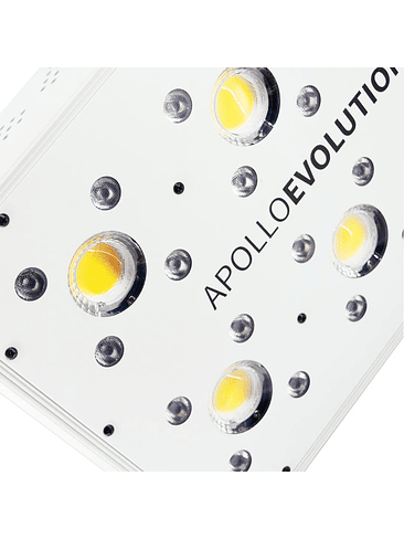APOLLO EVOLUTION 6 180W-DELIGHT 6