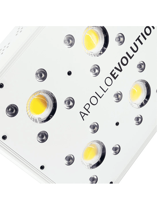 APOLLO EVOLUTION 6 180W-DELIGHT 6