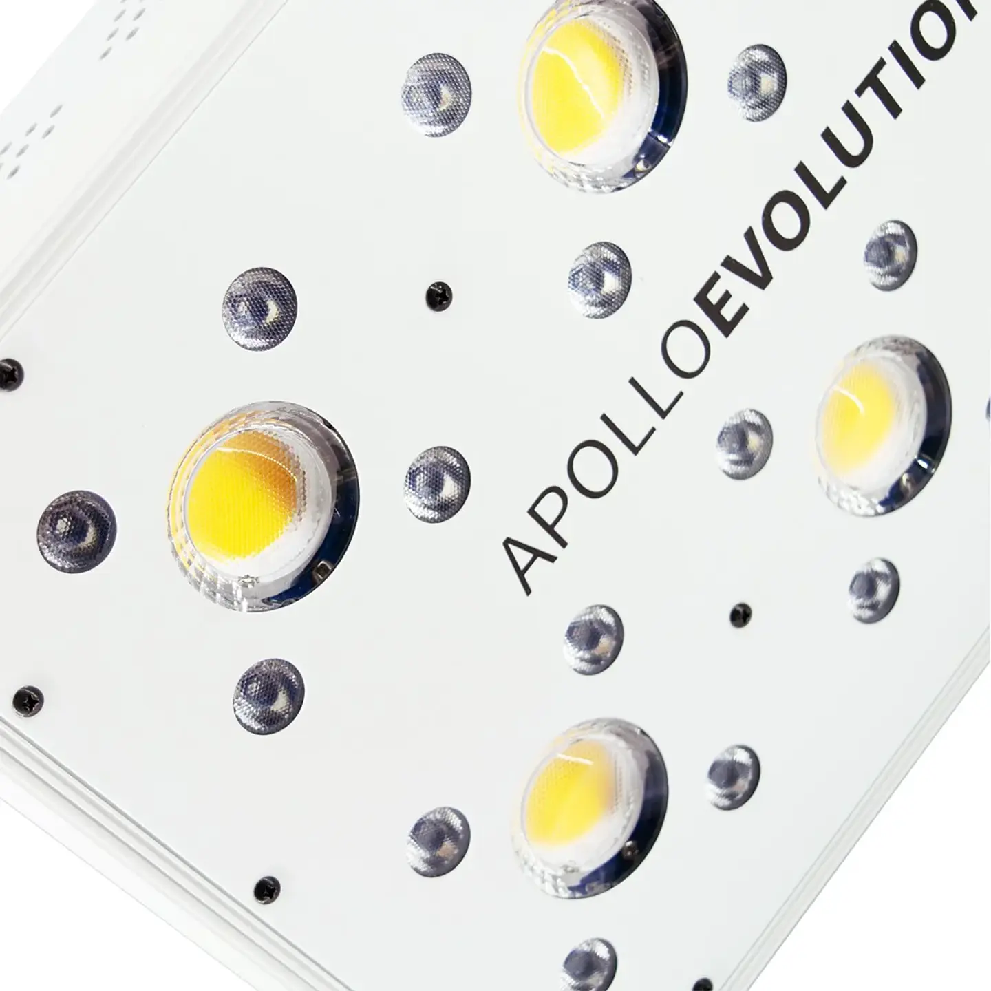 Apollo Evolution 6 180W-Delight 6