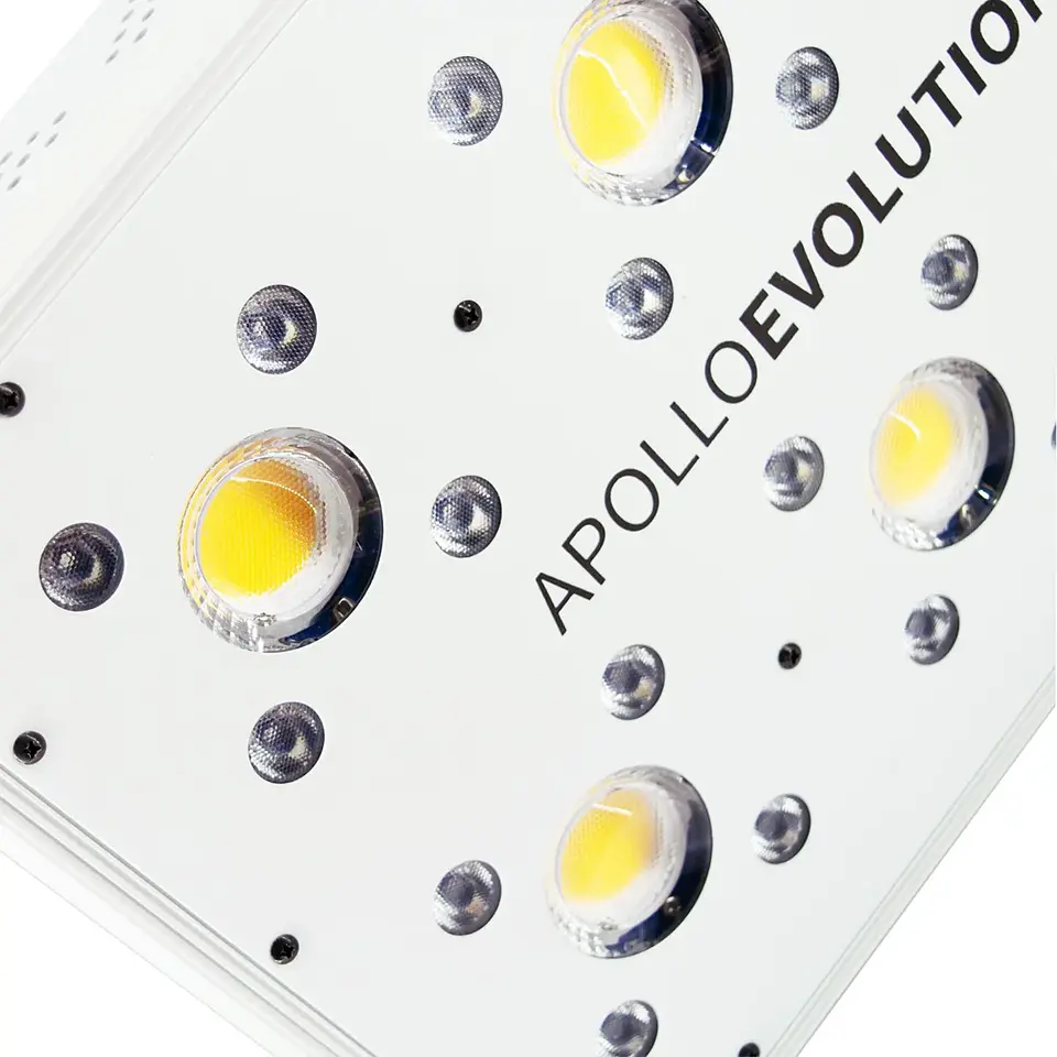 Apollo Evolution 6 180W-Delight 6