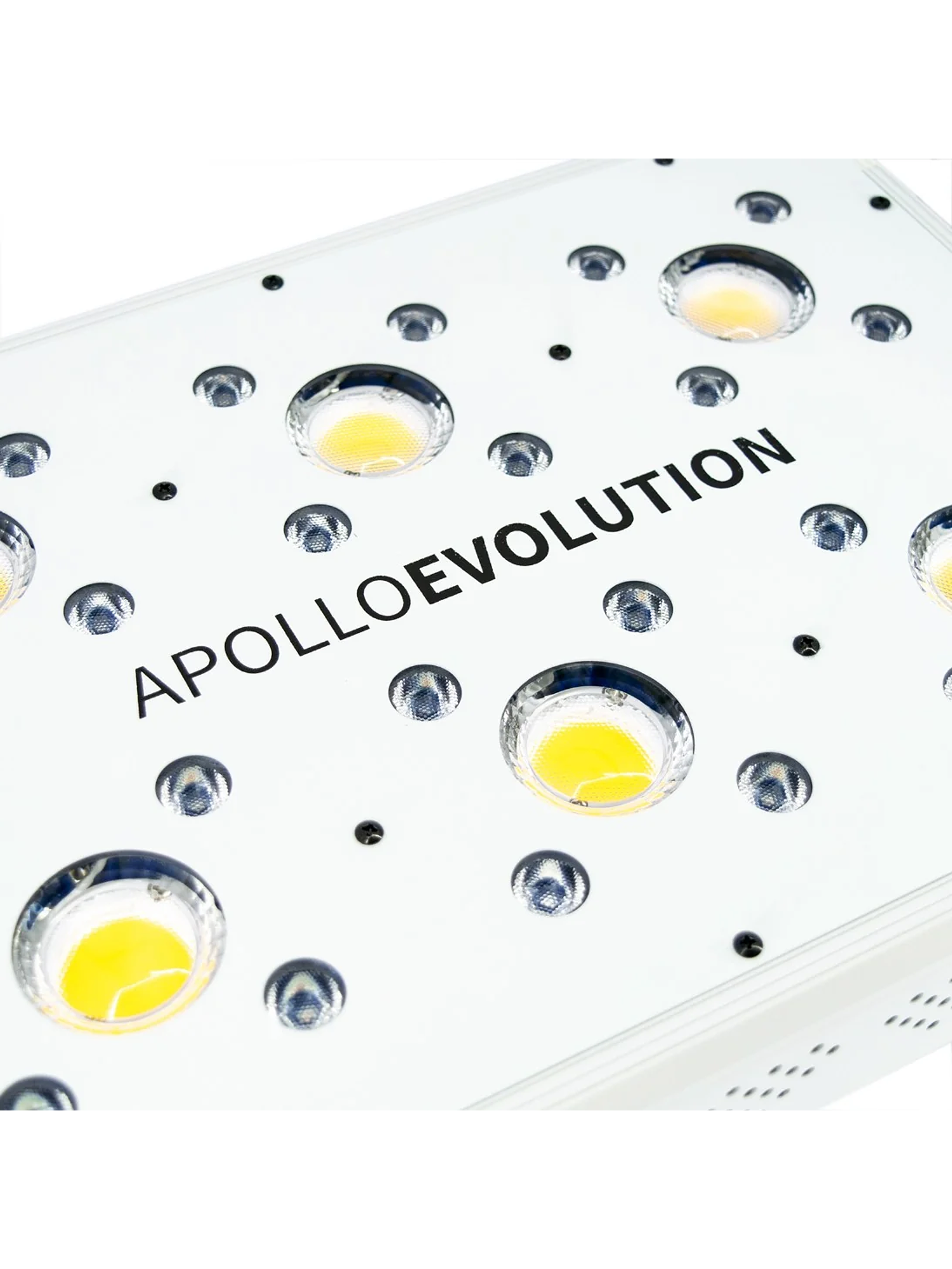 Apollo Evolution 6 180W-Delight 7
