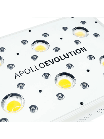 APOLLO EVOLUTION 6 180W-DELIGHT 7