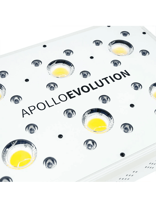 APOLLO EVOLUTION 6 180W-DELIGHT 7