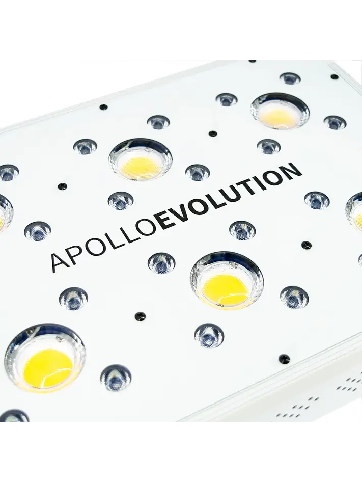Apollo Evolution 6 180W-Delight 7