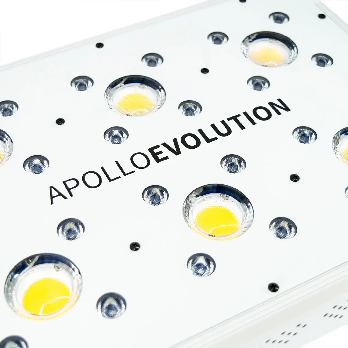 Apollo Evolution 6 180W-Delight 7