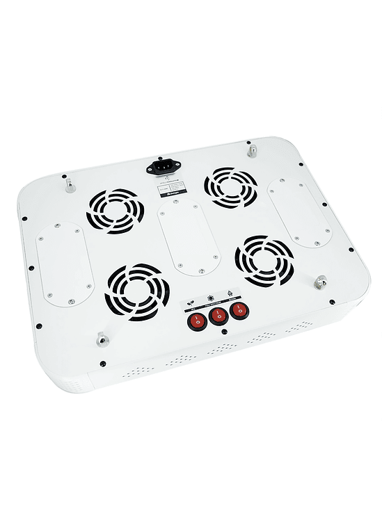 APOLLO EVOLUTION 6 180W-DELIGHT 10