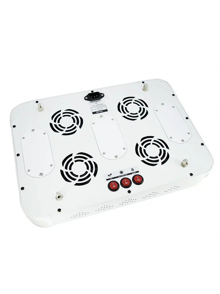 Apollo Evolution 6 180W-Delight 10