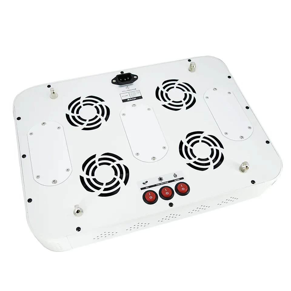 Apollo Evolution 6 180W-Delight 10