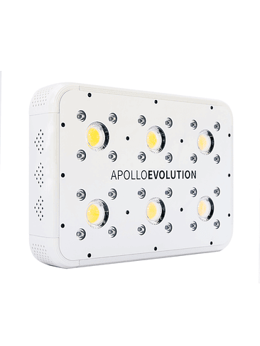 APOLLO EVOLUTION 6 180W-DELIGHT 11
