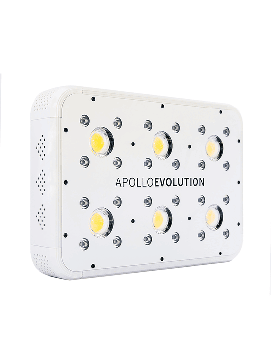 APOLLO EVOLUTION 6 180W-DELIGHT 11