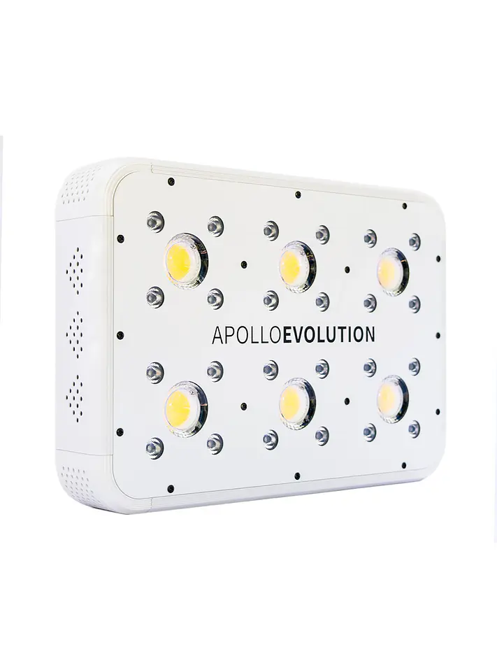 Apollo Evolution 6 180W-Delight 11