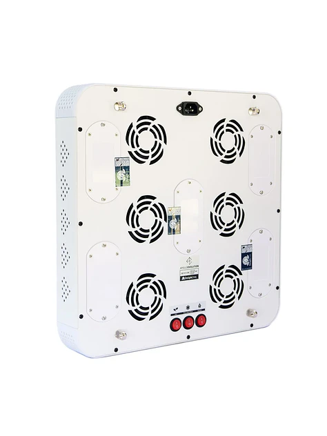 Apollo Evolution 9 280W-Delight 3