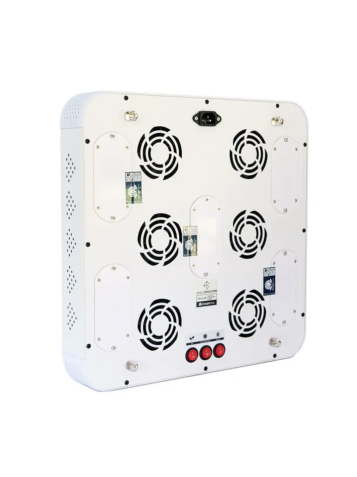 Apollo Evolution 9 280W-Delight 3