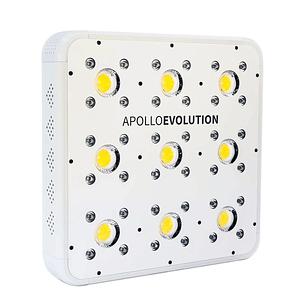 APOLLO EVOLUTION 9 280W-DELIGHT