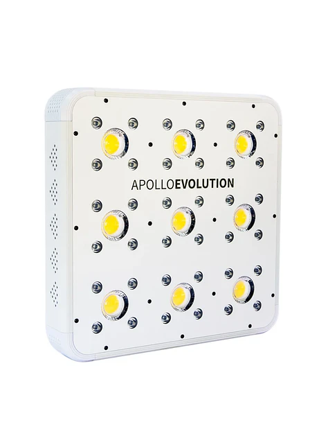 Apollo Evolution 9 280W-Delight 1