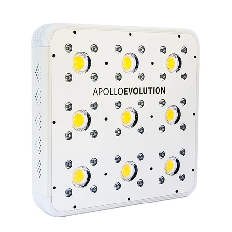 Apollo Evolution 9 280W-Delight