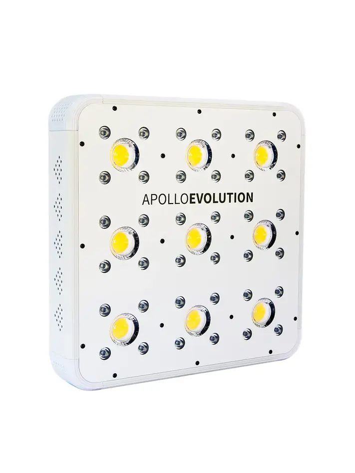 Apollo Evolution 9 280W-Delight 1